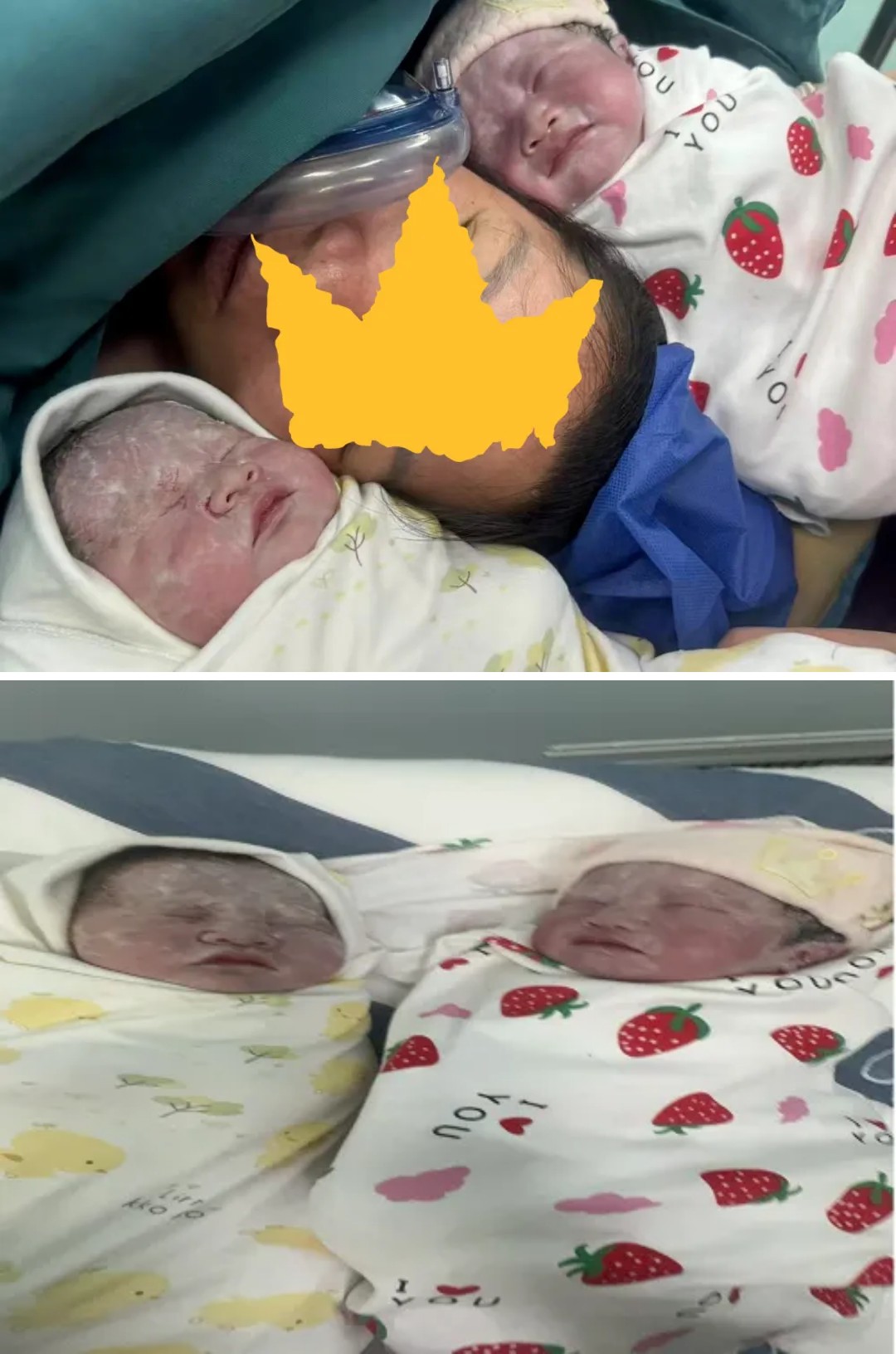1745173171713337.jpg